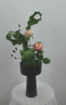 127.gif