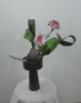 145.gif