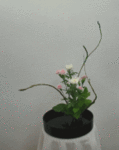 149.gif