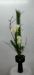 227.gif