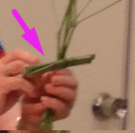 24.gif