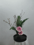 265.gif