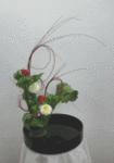 274.gif