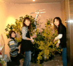 3129.gif