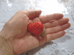 378.gif