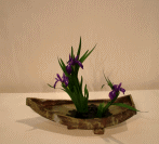 4010.gif