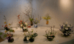 4011.gif