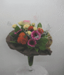 5491.gif