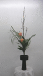 5607.gif