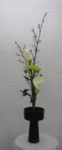 5682.gif
