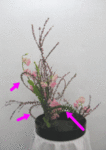 5821.gif