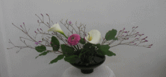 5901.gif