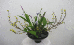 6030.gif