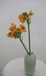 6139.gif