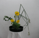 6361.gif