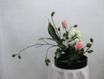 6397.gif