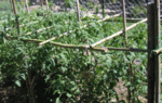 6413.gif