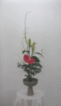 6552.gif